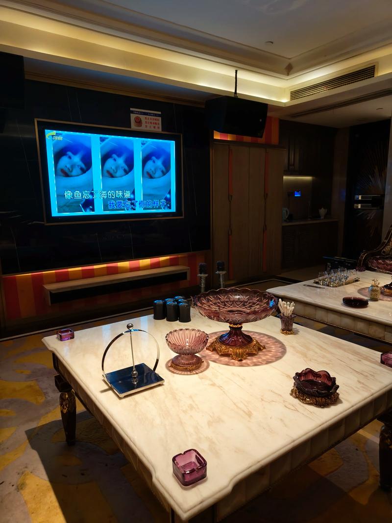 沧州商务ktv新玩法尽享尊贵体验-盐山县ktv预定